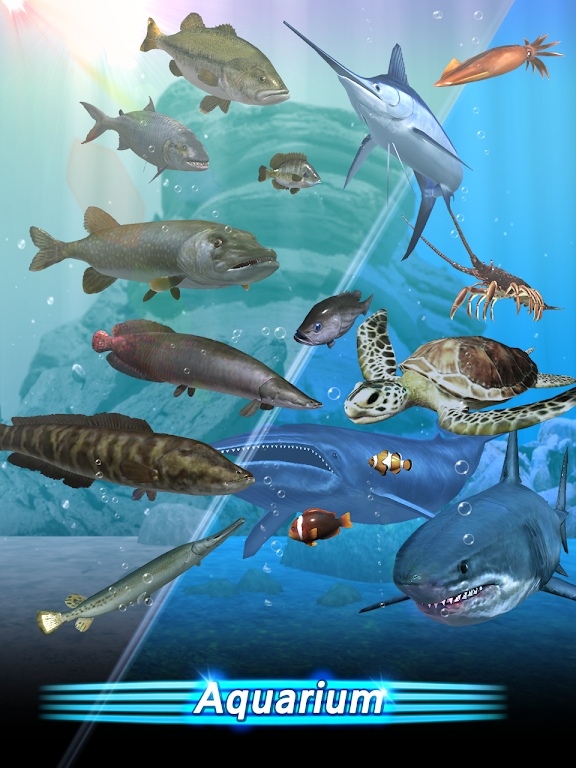 釣魚季官方版