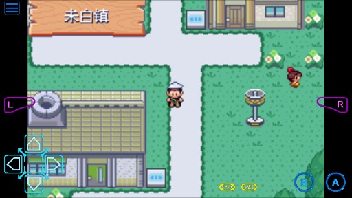 口袋妖怪日月寶石八木特別篇存檔版