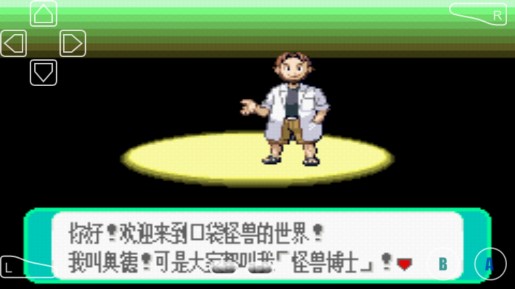 口袋妖怪天龍墮落漢化版