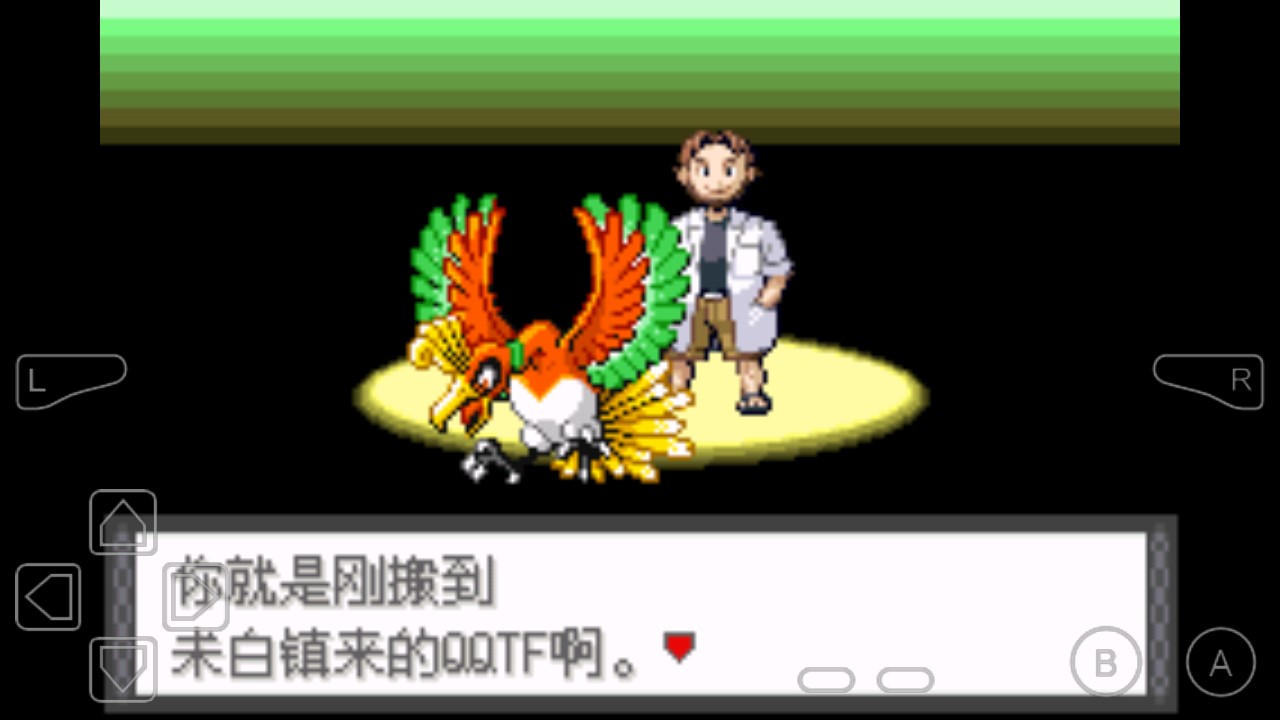 口袋妖怪狂龍金手指版