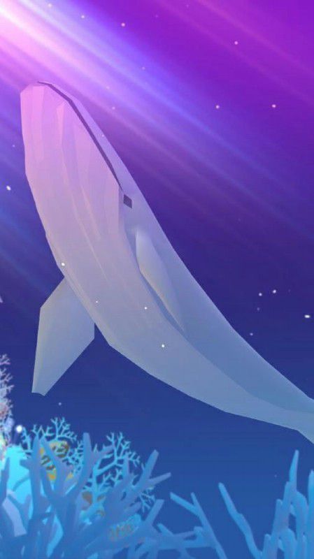 正版深海水族館