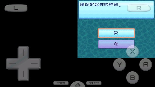 牧場物語閃耀太陽金手指版