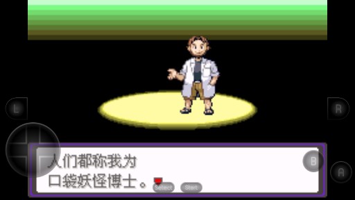 口袋妖怪漆黑魅影DP手機(jī)版