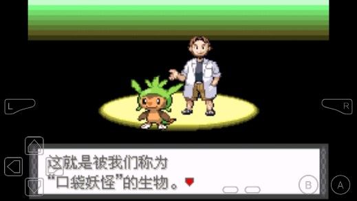 口袋妖怪天狂金手指版