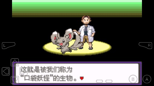 口袋妖怪漆黑魅影6.0無限版