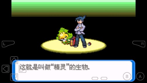 口袋妖怪決心250級(jí)金手指版
