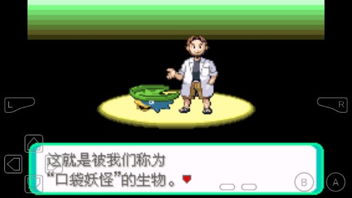 口袋妖怪Mega心源金版