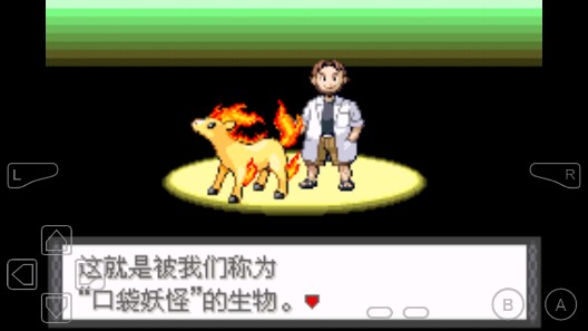 口袋妖怪罪惡世界特別版