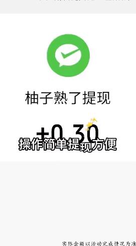 柚子熟了紅包版游戲