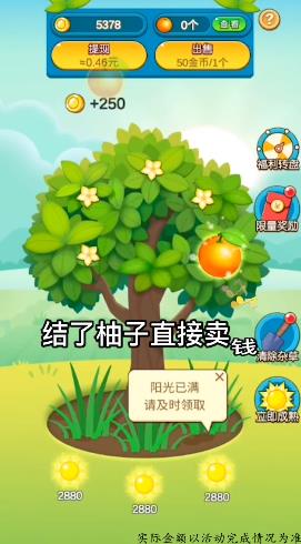 柚子熟了紅包版游戲