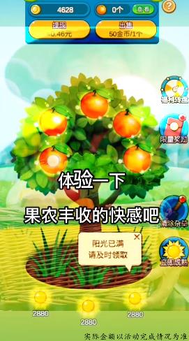 柚子熟了紅包版游戲