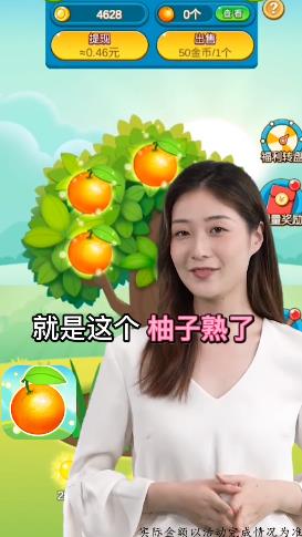 柚子熟了紅包版游戲