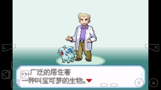 口袋妖怪圣輝最終版漢化