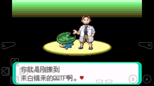 口袋妖怪日之石金手指版改版