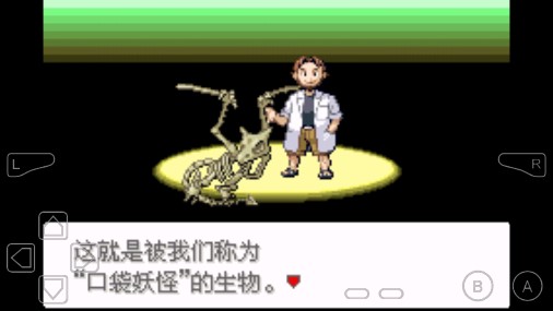 口袋妖怪迷失夜5新版