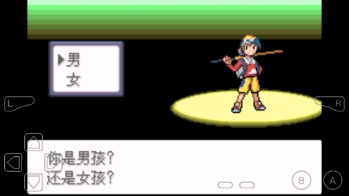 口袋妖怪迷失夜5新版