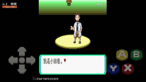 口袋妖怪炫彩之翼2.0終章