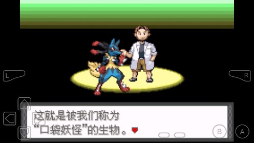 口袋妖怪風(fēng)之狂叫金手指版