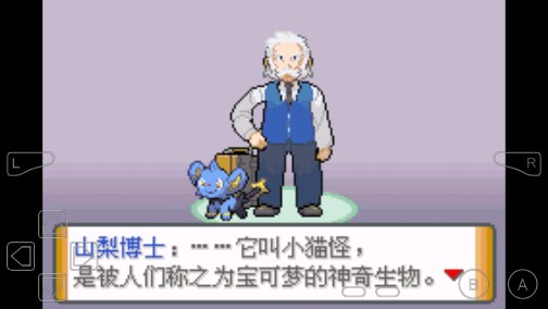 口袋妖怪騎納帝亞作弊版