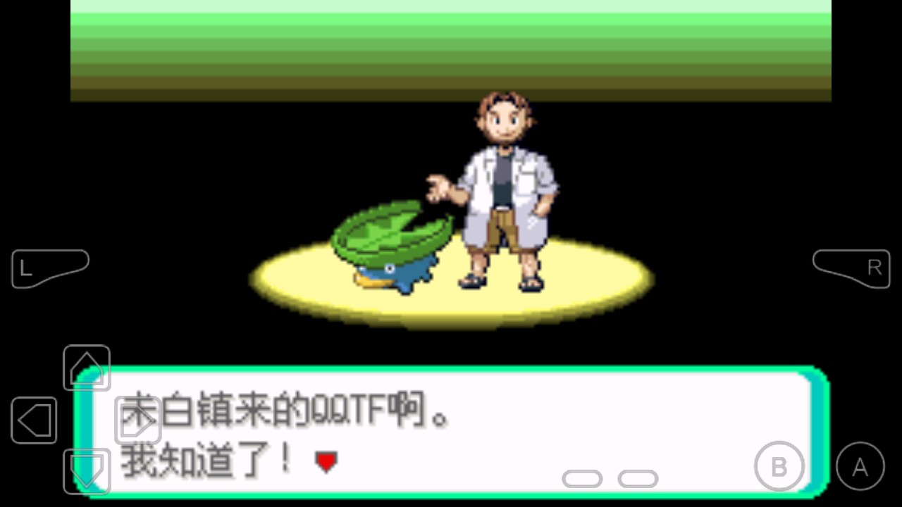 口袋妖怪罪惡世界金手指版