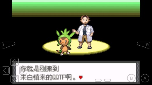 口袋妖怪天之呼召金手指版修改版