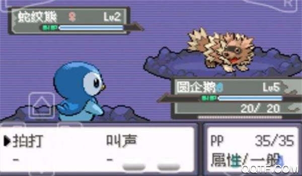 口袋妖怪空之花神完結(jié)版修改版