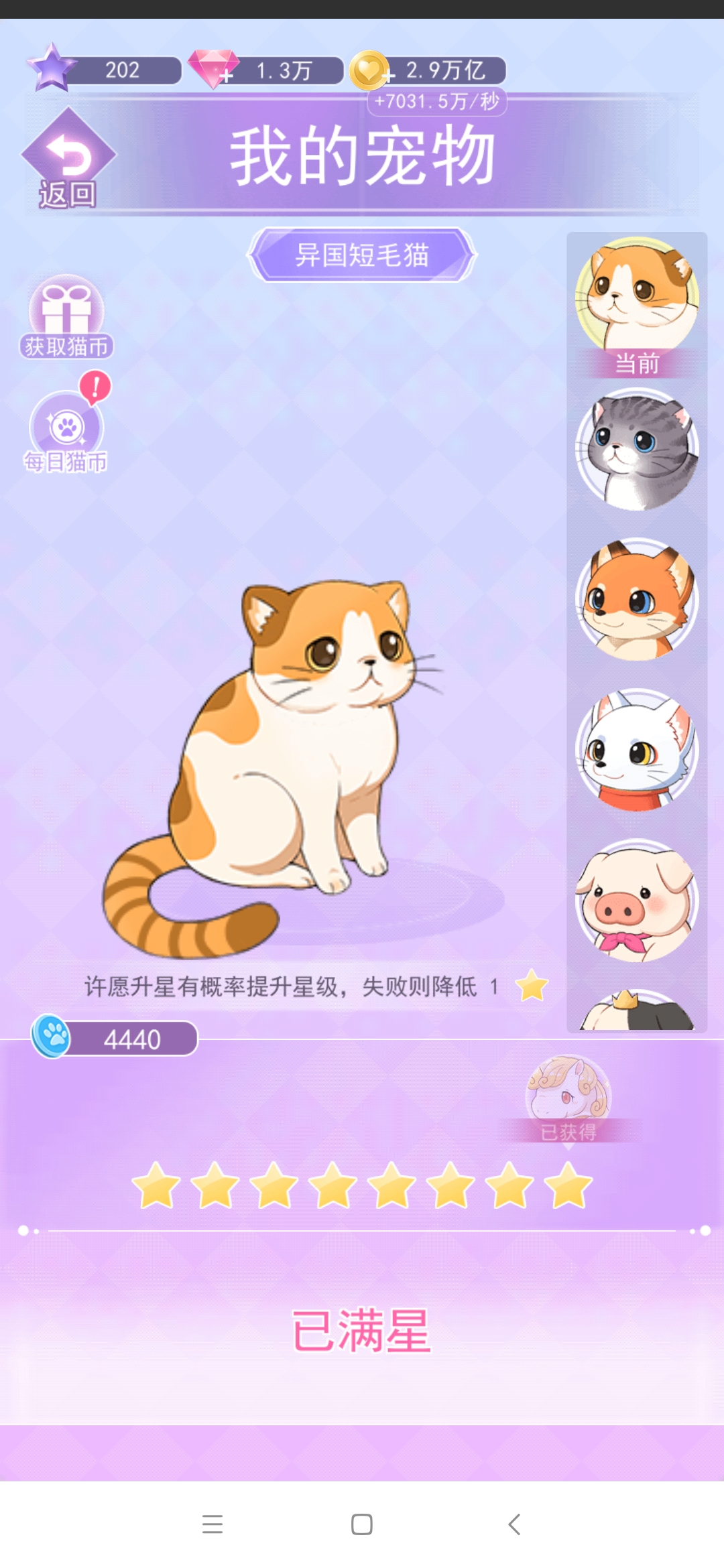 夏日偶像獎(jiǎng)勵(lì)版（免廣告）