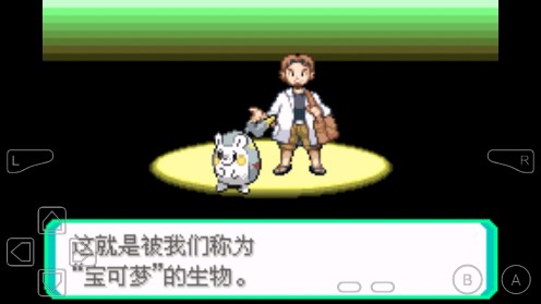 口袋妖怪究極綠寶石反向版