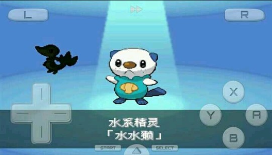 口袋妖怪黑2649金手指