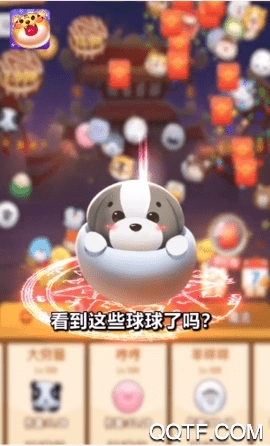 阿偉彈力球賺錢版