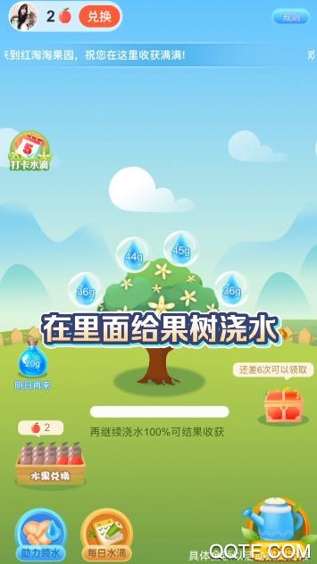 紅淘淘贈送水果版