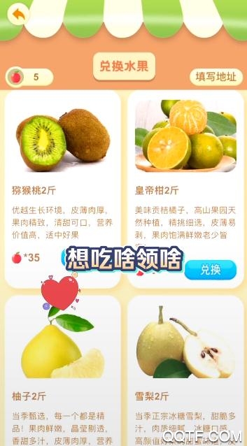 紅淘淘贈送水果版