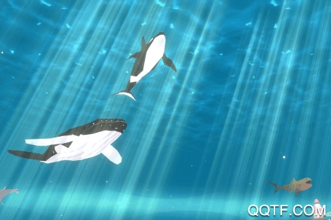 海底大獵殺最新手游