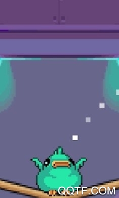 Cooped Up鳥類保護(hù)區(qū)安卓版