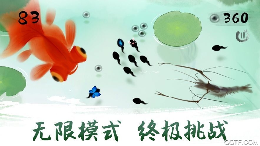 蝌蚪抓沙雕抖音版