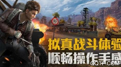 和平精英潮萌黃鴨版