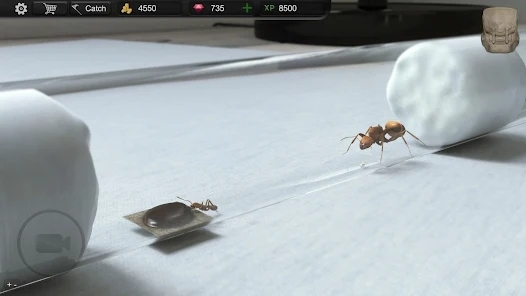 螞蟻模擬大亨最新版(Ant Sim Tycoon)