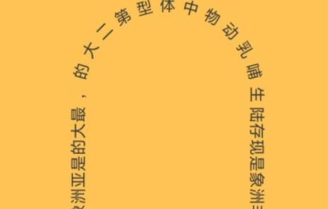 脖子運(yùn)動(dòng)游戲手機(jī)版