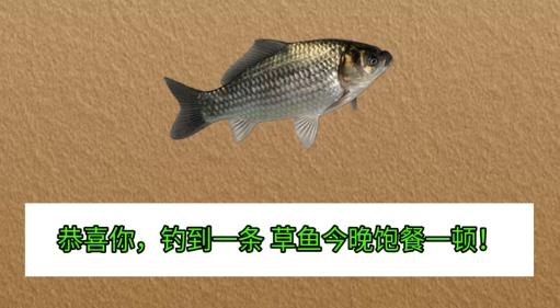 魚兒別跑游戲手機版