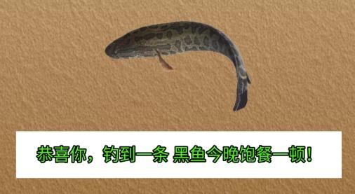 魚兒別跑游戲手機版