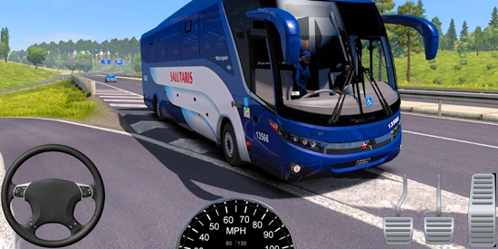 歐洲巴士模擬器最新版(Bus Simulator)