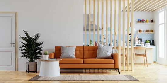 室內(nèi)家居改造最新版(Interior Designer 2023)