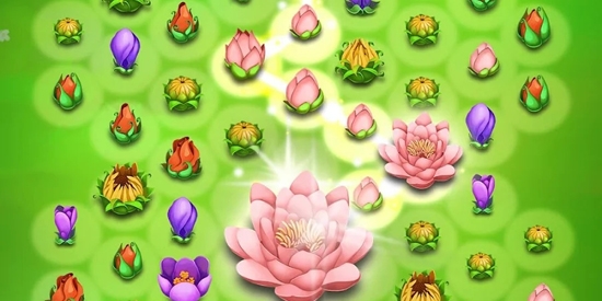 花花傳奇最新版本