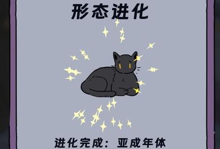 貓貓喵喵游戲手機(jī)版