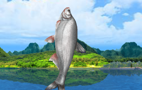 釣魚大師真實模擬游戲官方版Fishing Master