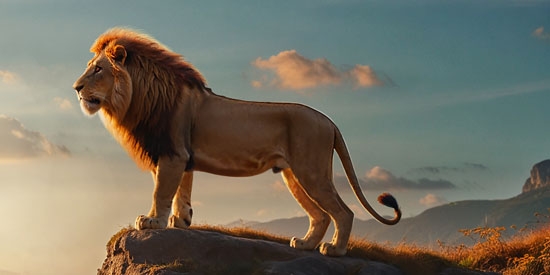 野獸領主新世界官方版 野獸領主新世界官方版