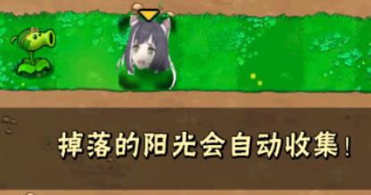 PvZ AR版游戲最新版(植物大戰(zhàn)僵尸AR版)
