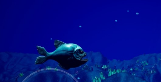 大魚吃小魚玩家自制版