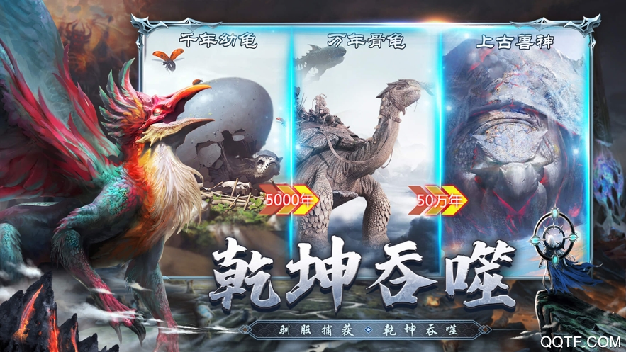 山海經(jīng)飛禽走獸正版