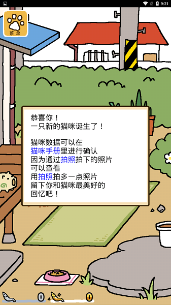 貓咪后院中文版